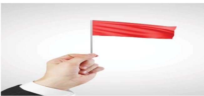 What are the “red flags” that might alert one to it? - Shunyatax Global