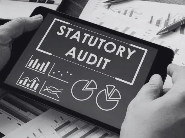 Statutory Audit