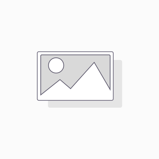 Internal Audit