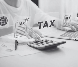 Tax Optimization for Companies
