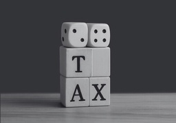 Company Structuring for Tax Optimization